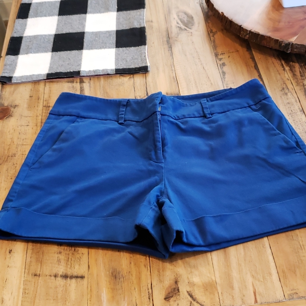 Size 10 New York & Company Shorts Blue & Pretty